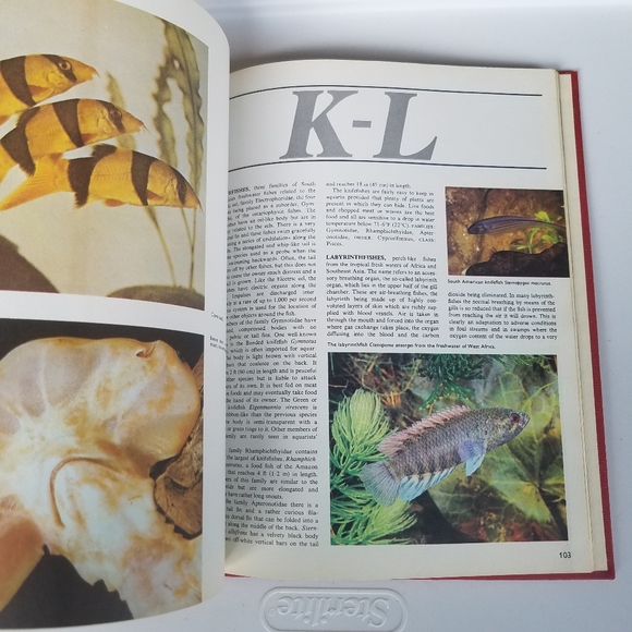 The World of Fish 1975 Peebles Press editor John H - Picture 11 of 16